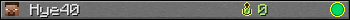 Hye40 userbar 350x20