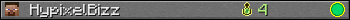 HypixelBizz userbar 350x20