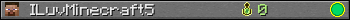 ILuvMinecraft5 userbar 350x20