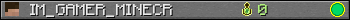 IM_GAMER_MINECR userbar 350x20