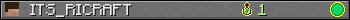 ITS_RICRAFT userbar 350x20