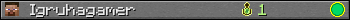 Igruhagamer userbar 350x20