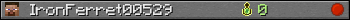 IronFerret00529 userbar 350x20