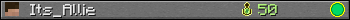 Its_Allie userbar 350x20