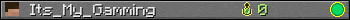 Its_My_Gamming userbar 350x20