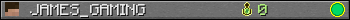 JAMES_GAMING userbar 350x20