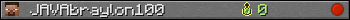 JAVAbraylon100 userbar 350x20