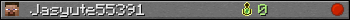 Jasyute55391 userbar 350x20