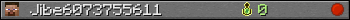 Jibe6073755611 userbar 350x20