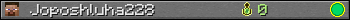 Joposhluha228 userbar 350x20