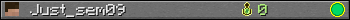 Just_sem09 userbar 350x20