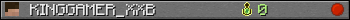 KINGGAMER_XXB userbar 350x20