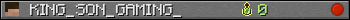 KING_SON_GAMING_ userbar 350x20