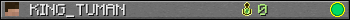 KING_TUMAN userbar 350x20