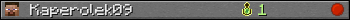 Kaperolek09 userbar 350x20
