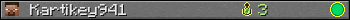 Kartikey941 userbar 350x20