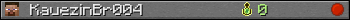 KauezinBr004 userbar 350x20