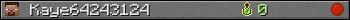 Kaye64243124 userbar 350x20