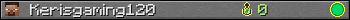 Kerisgaming120 userbar 350x20