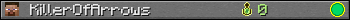 KillerOfArrows userbar 350x20