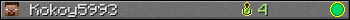 Kokoy5993 userbar 350x20