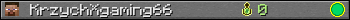 KrzychXgaming66 userbar 350x20