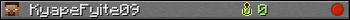 KyapeFyite09 userbar 350x20