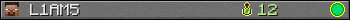 L1AM5 userbar 350x20