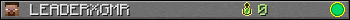 Юзербар 350x20 для LEADERXGMR