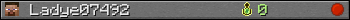 Ladye07492 userbar 350x20