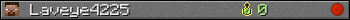 Laveye4225 userbar 350x20