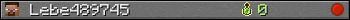 Lebe489745 userbar 350x20