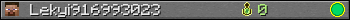 Lekyi916993023 userbar 350x20