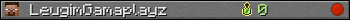 LeugimGamaplayz userbar 350x20