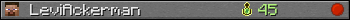 LeviAckerman userbar 350x20