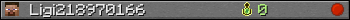 Ligi218970166 userbar 350x20