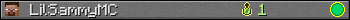 LilSammyMC userbar 350x20