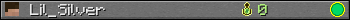 Lil_Silver userbar 350x20