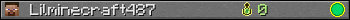 Lilminecraft487 userbar 350x20