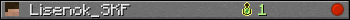 Lisenok_SKF userbar 350x20