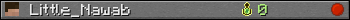 Little_Nawab userbar 350x20