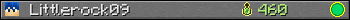 Littlerock09 userbar 350x20