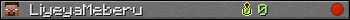 LiyeyaMeberu userbar 350x20