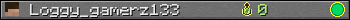 Loggy_gamerz133 userbar 350x20