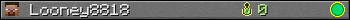 Looney8818 userbar 350x20