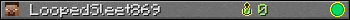 LoopedSleet869 userbar 350x20