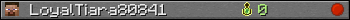 LoyalTiara80841 userbar 350x20