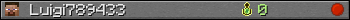 Luigi789433 userbar 350x20
