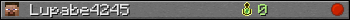 Lupabe4245 userbar 350x20