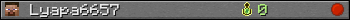 Lyapa6657 userbar 350x20
